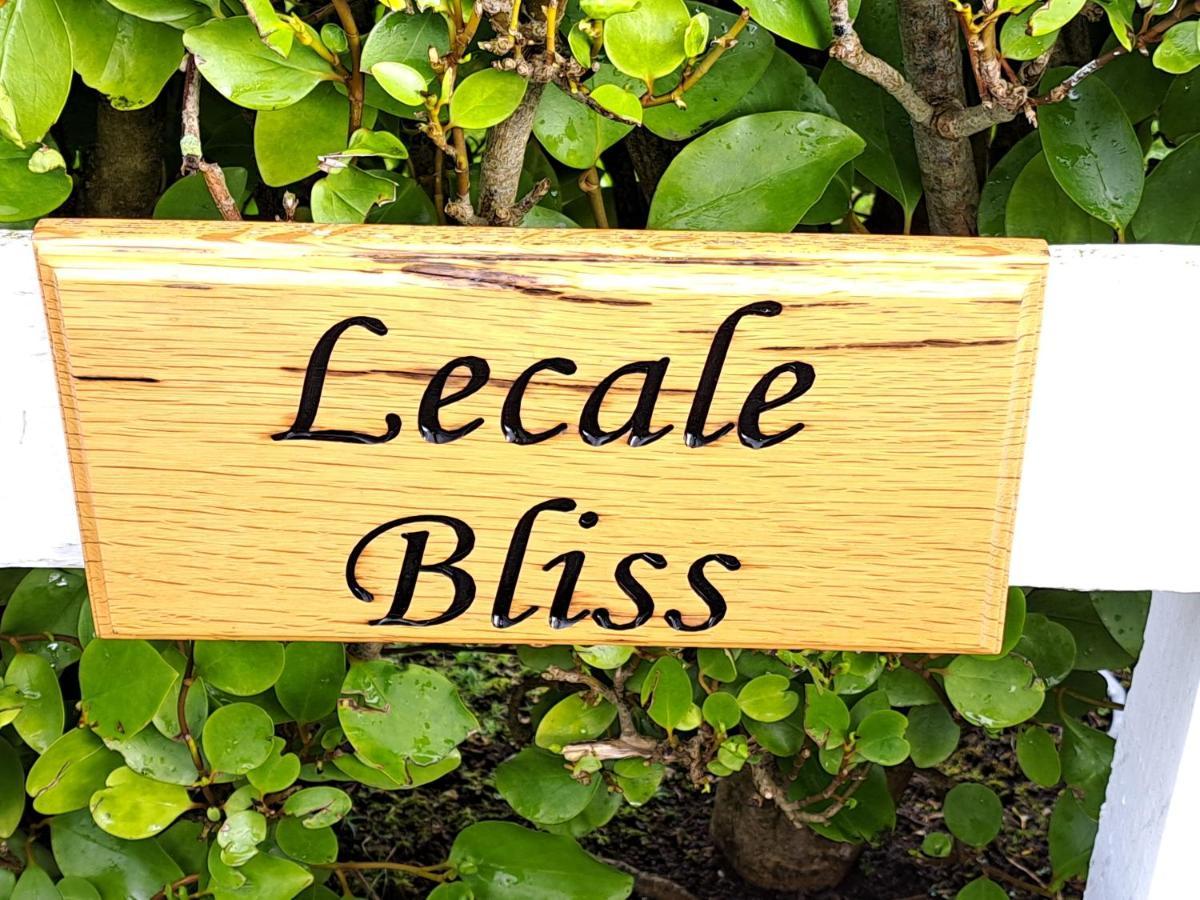 Bed and Breakfast Lecale Bliss Downpatrick Exterior foto