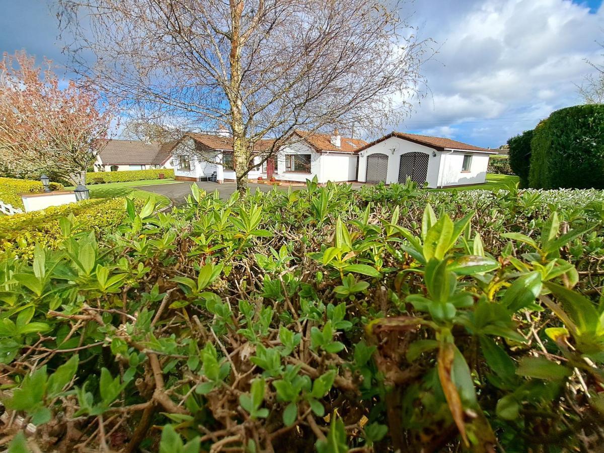 Bed and Breakfast Lecale Bliss Downpatrick Exterior foto